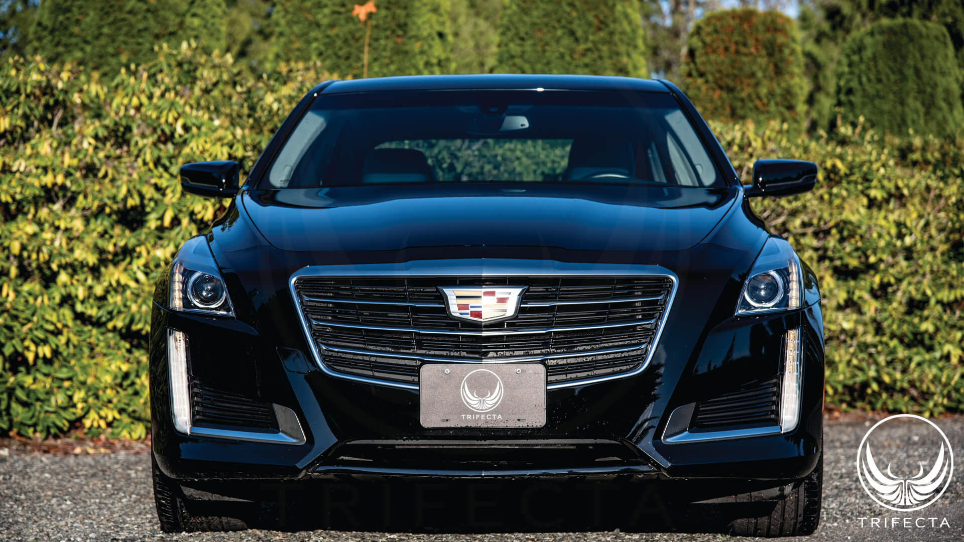 2016--2019 Cadillac CTS - 3.6L Advantage