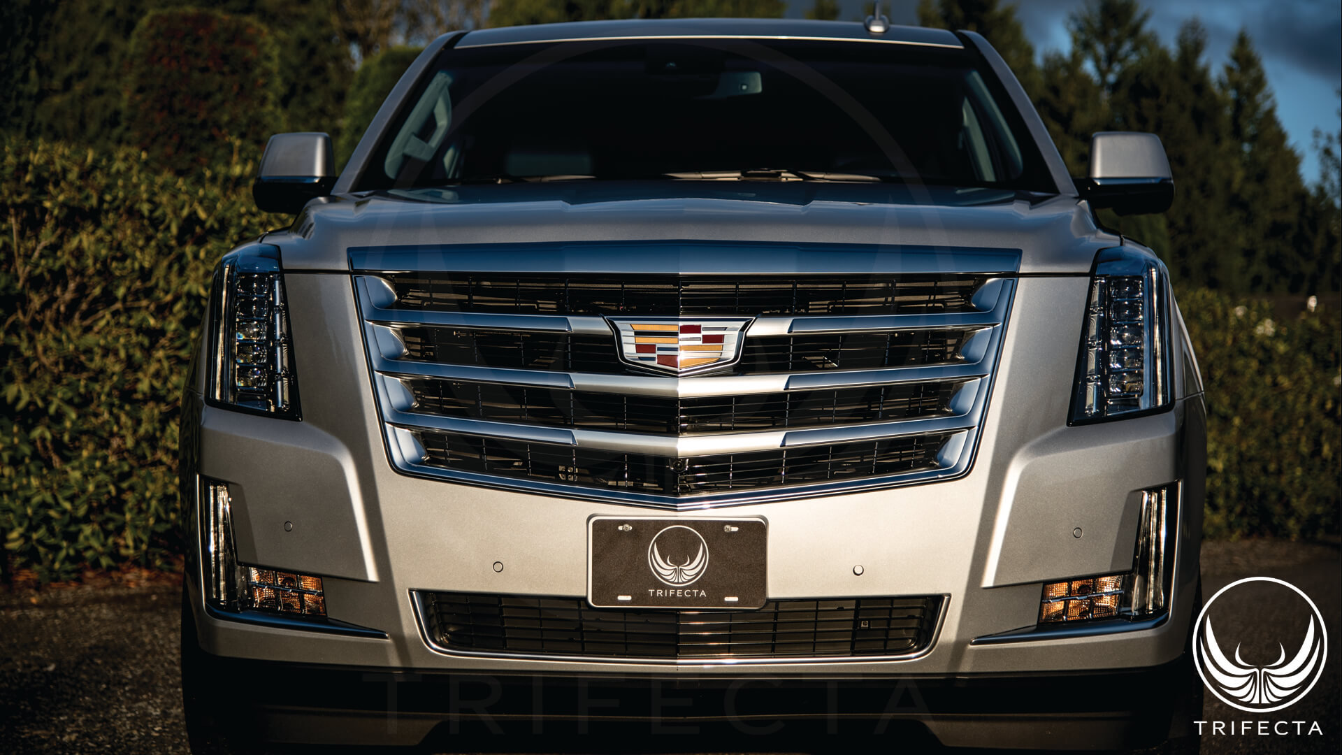 2015--2020 Cadillac Escalade - 6.2L - Elite