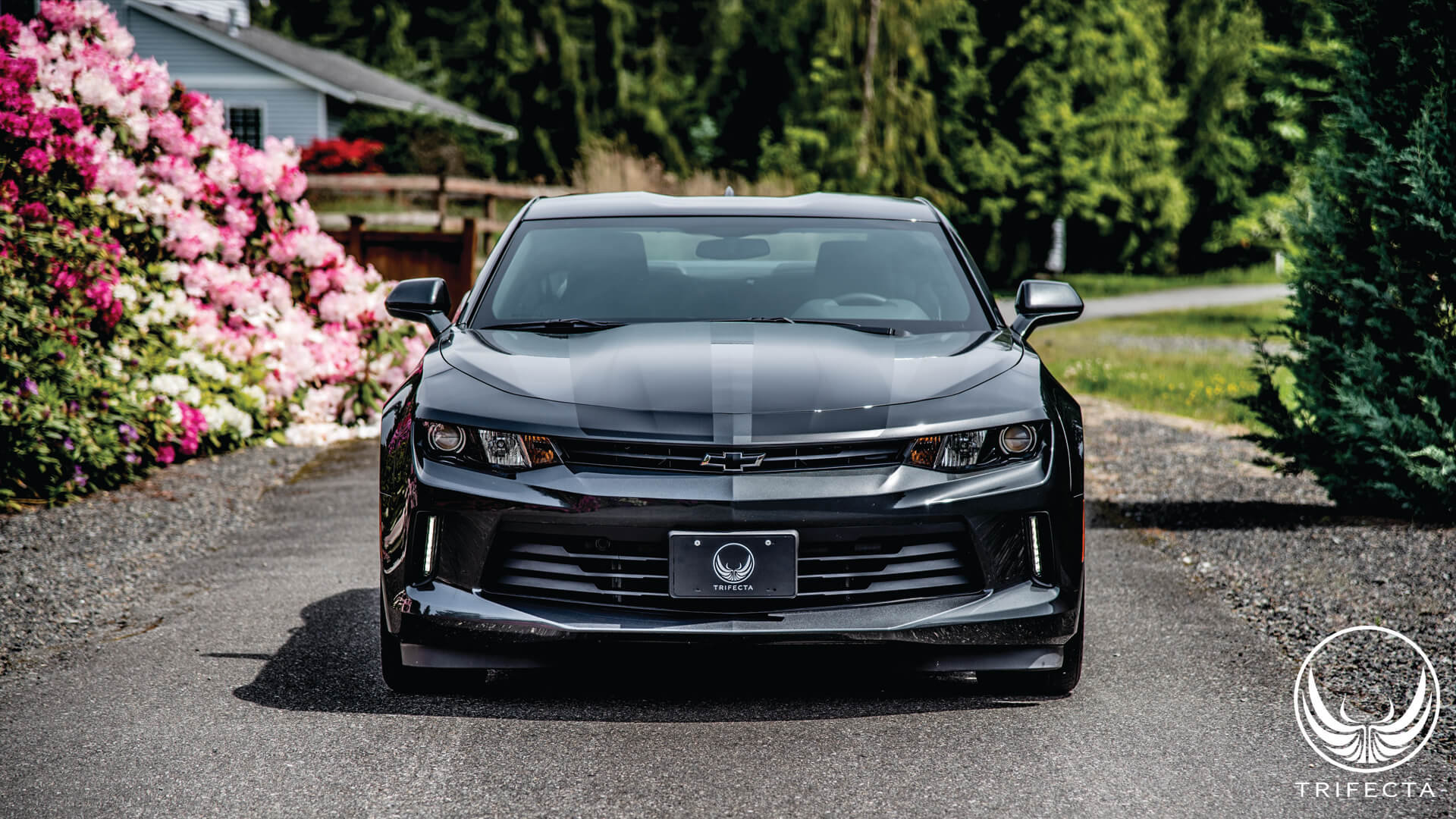 2016--2020 Chevrolet Camaro - 2.0L Turbo - Elite